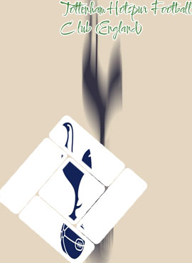 Tottenham hotspur fc results